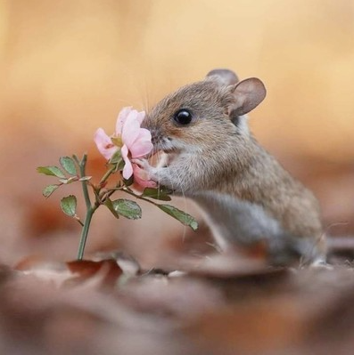 5 Scentsational Facts About the Power of Smell